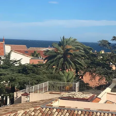 Centre Palais De La 100m Port Et 300m * סן-מקסים