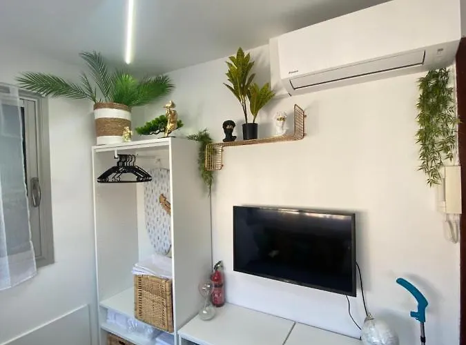 Centre Palais De La 100m Port Et 300m